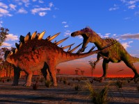 The Changing of Names