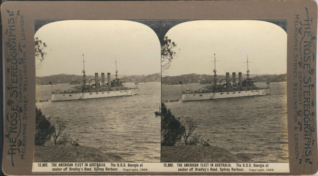 Rose-Stereograph-12802