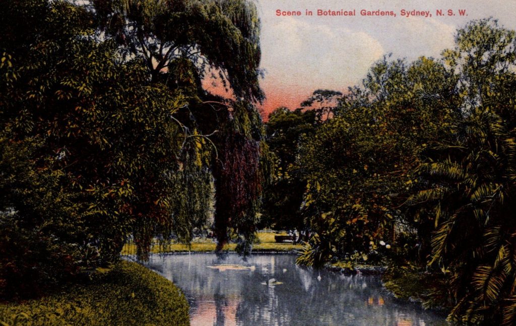 Scene in Botanical Garden