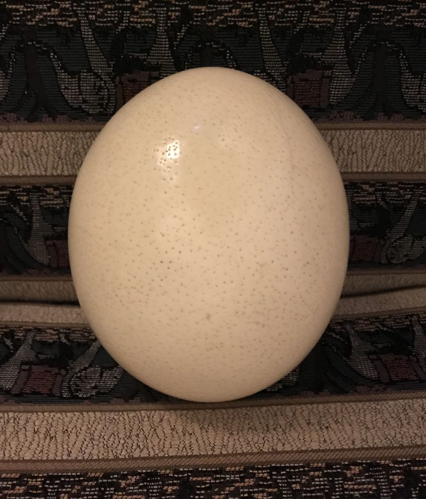 Frank Lesher's - Ostrich Egg