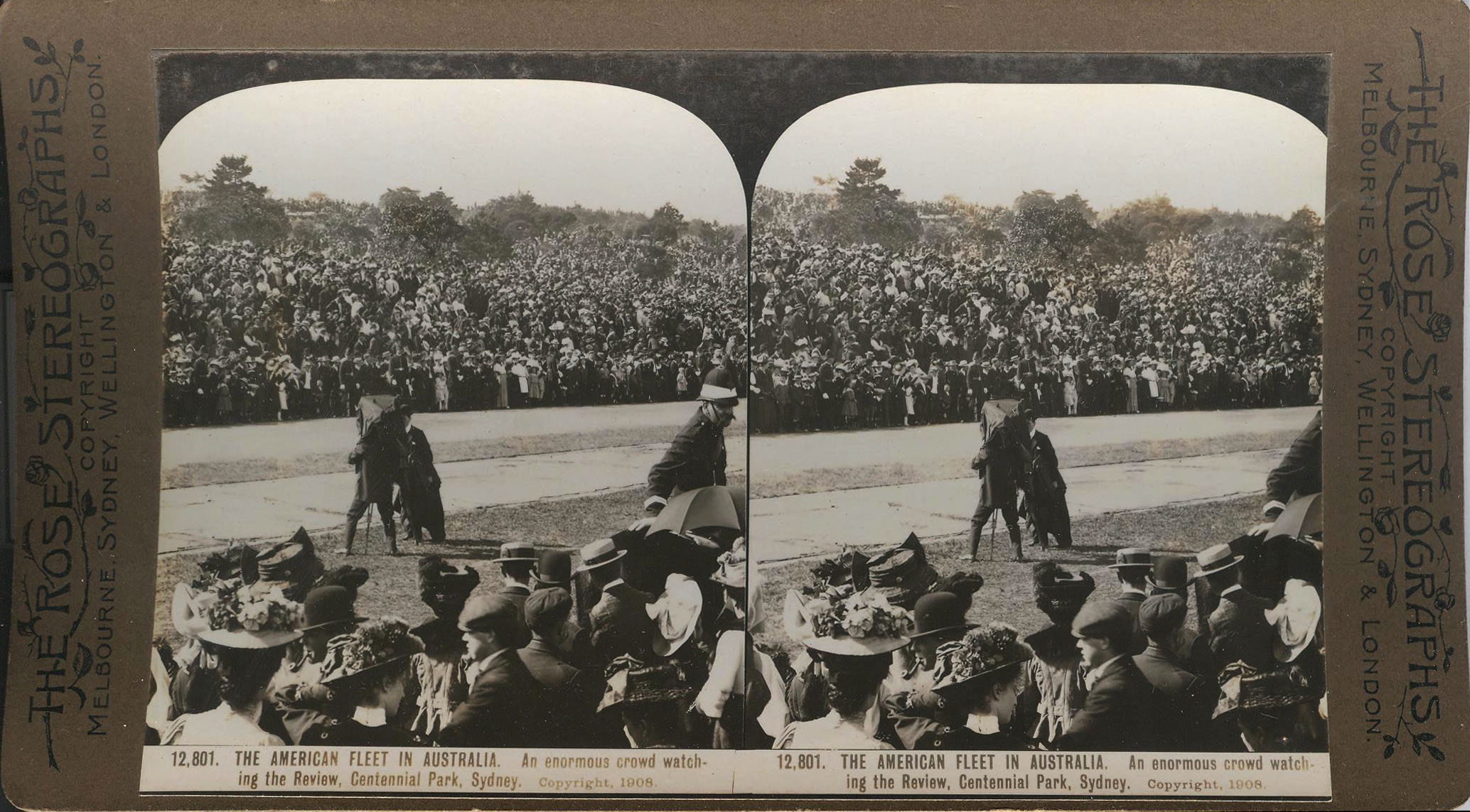 Rose Stereograph 12,801 001