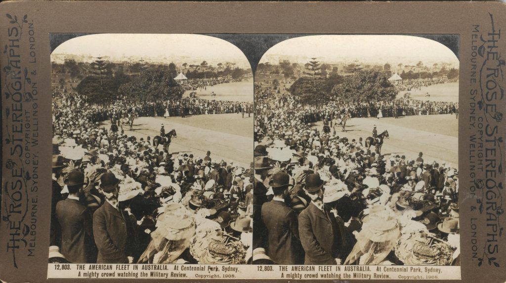 Rose Stereograph 12,803