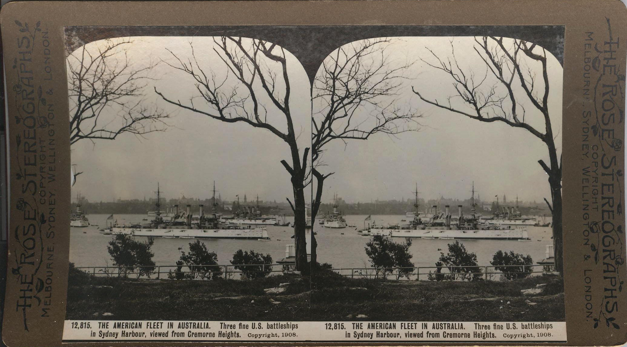 Rose Stereograph 12,815 001