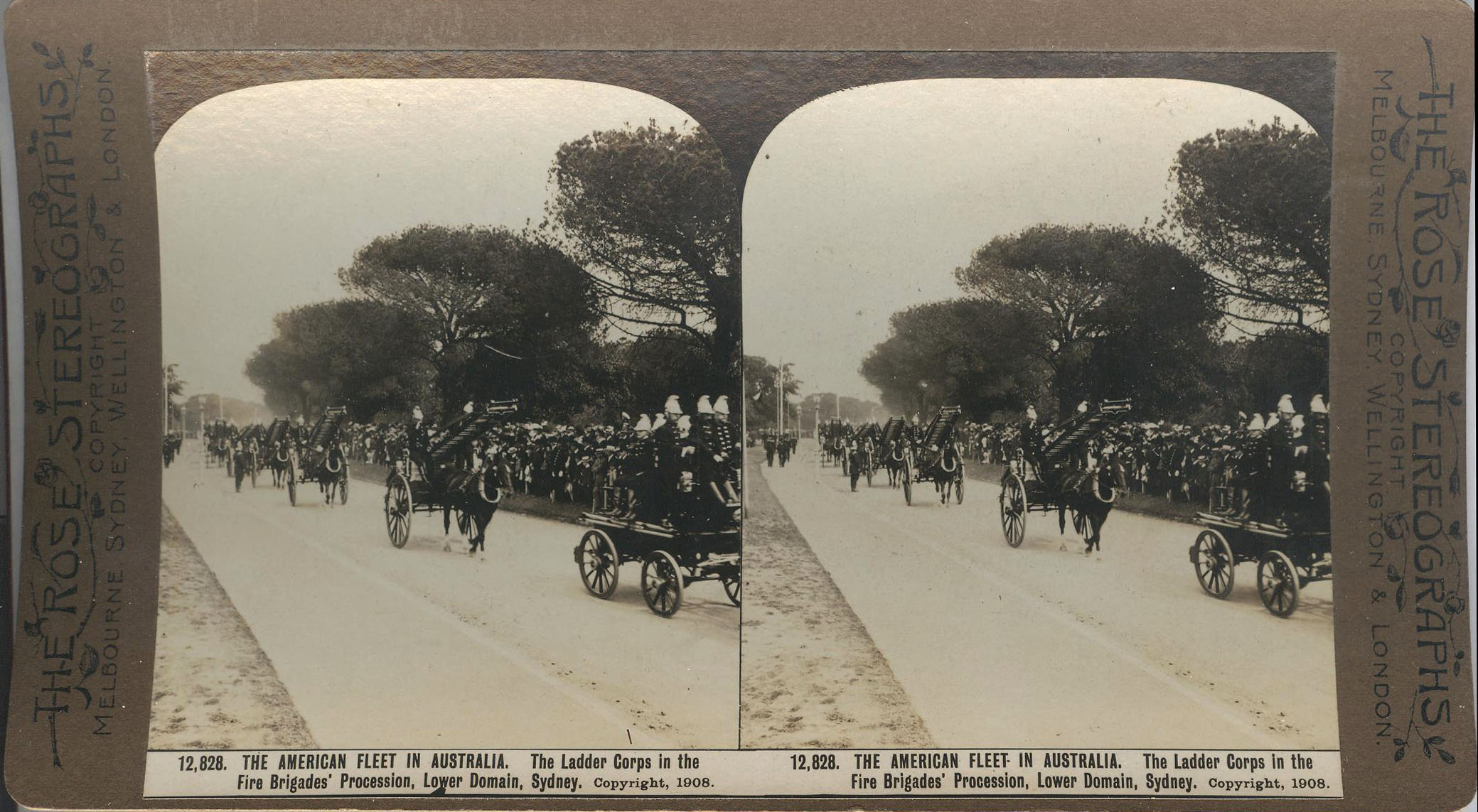 Rose Stereograph 12,828 001