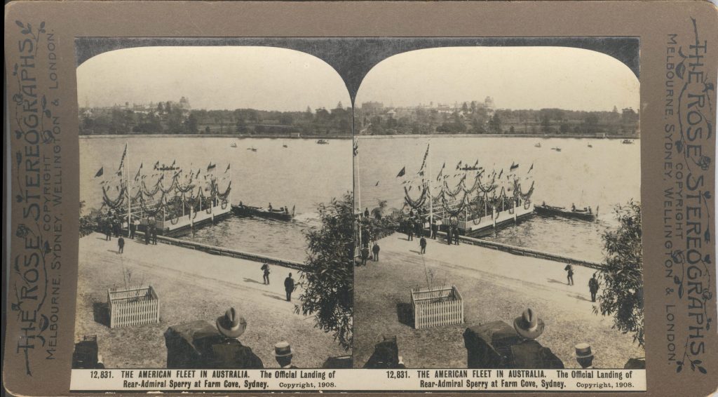 Rose Stereograph 12,831