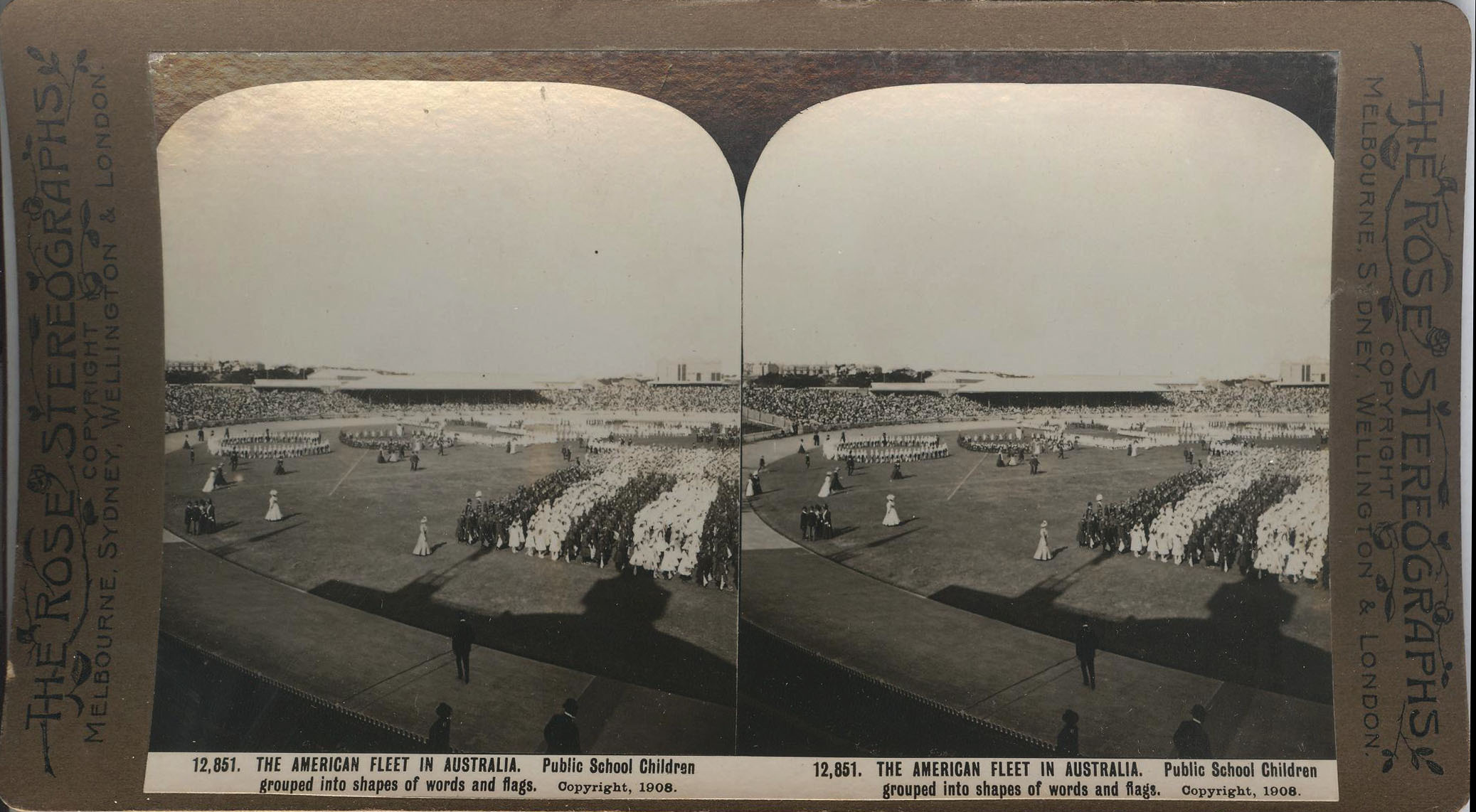Rose Stereograph 12,851 001