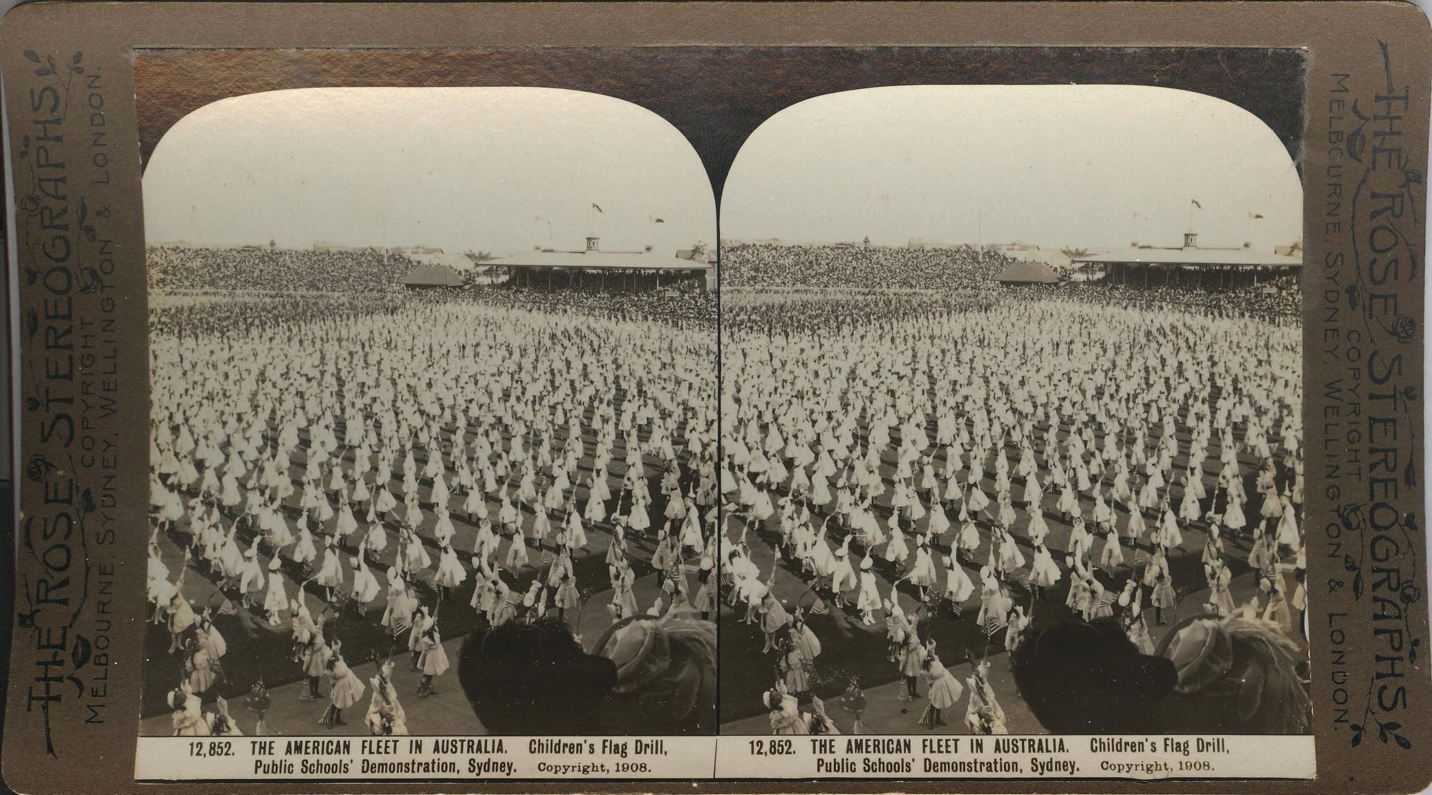 Rose Stereograph 12,852 001