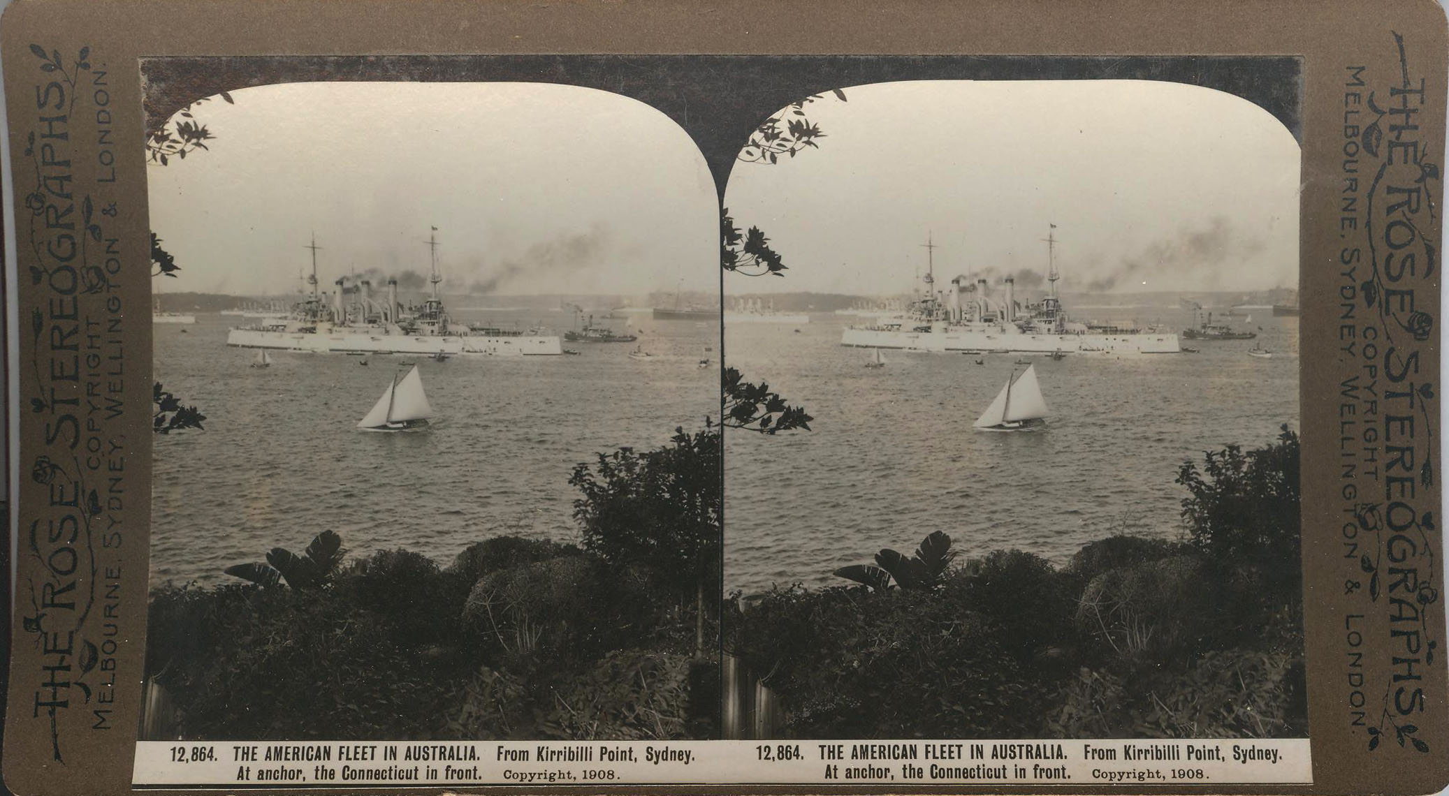 Rose Stereograph 12,864 001